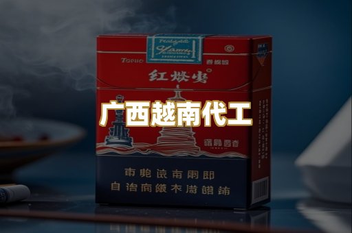 广西越南代工